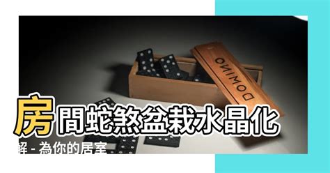 房間蛇煞化解|【室外蛇煞】小心室外蛇煞！風水毒蛇煞危害大，教你。